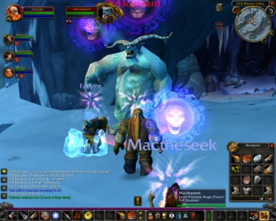 Screen shot from World of Warcraft