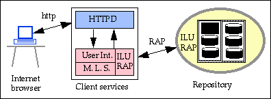 Client services using cgi-bin scripts