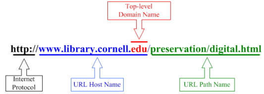 An illustration diagramming the parsing process for a URL