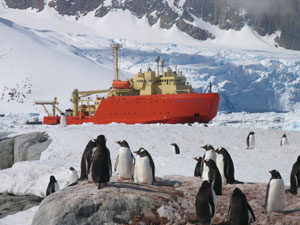 Image showing penguins and a research vessel