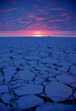 Photo of Pancake ice in the Bellingshausen Sea