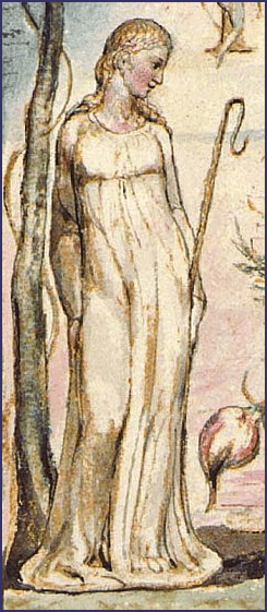 Image From The Book of Thel