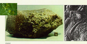 image of a meteorite