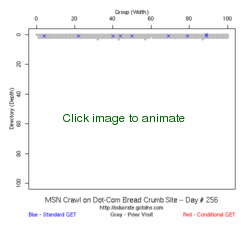 MSN Crawl