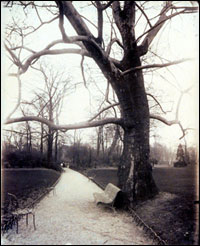 Albumen photograph by Eugene Atget