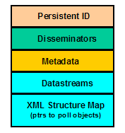 Image showing the structure and function of the collection level object