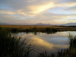 Image showingBear River Migratory Bird Refuge in northern Utah at dawn