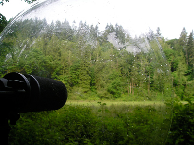 Recording wildlife at a marsh in Washington state