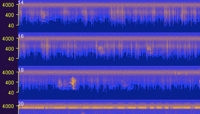 Detail of National Park Service Spectrogram