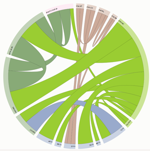 giann-fig4