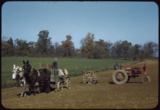 Photograph, Farm scene, Marrs Township, Posey County, Indiana, October 25, 1941