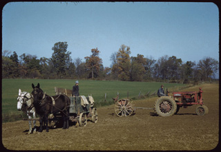 posey county indiana