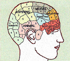 Phrenological diagram of a human head