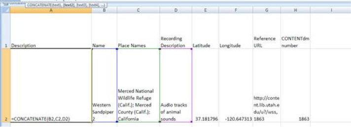 Figure Showing Concatenation Formula in Excel