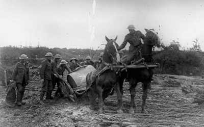 Photo taken on the Western Front During the First World War