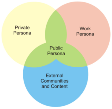 A Ven-diagram-like image showing individuals' public and private digital collections reflect private and public personas