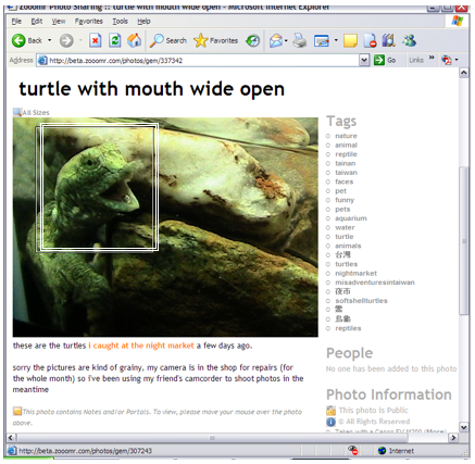 screen shot of one view of a photo stored on multiple photo sharing sites
